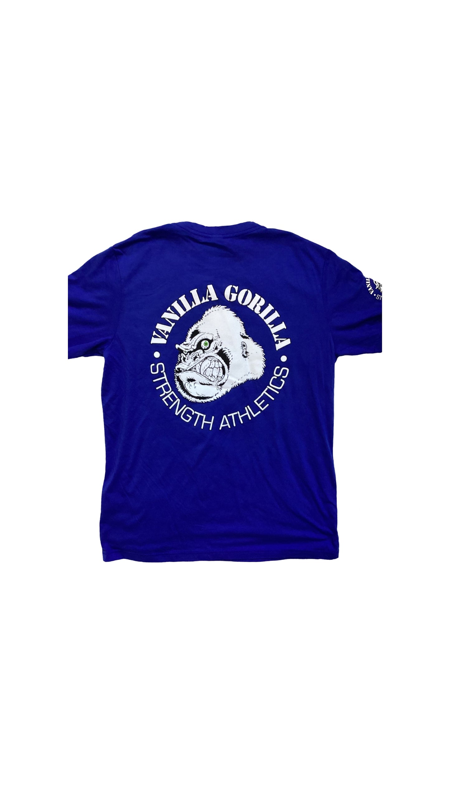 VG Logo- Blue