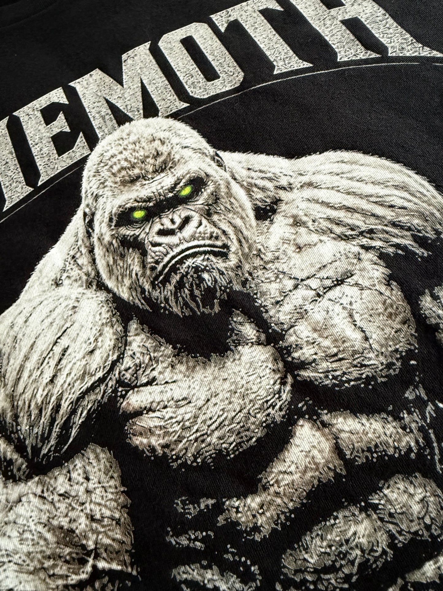 Behemoth