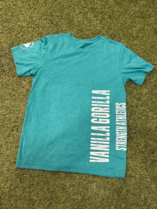 Distressed Teal